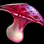 Mushroom of Immortality