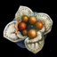 Secret Medicine of Physical Critical Hit