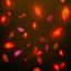 Red Rose Petals