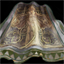 Assassination Cloak