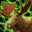 Crescent Moon Deer Antlers