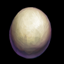 Ostrich Egg