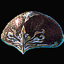 Hat of Faith