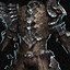 Veteran Assassin's Armor