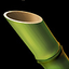 Bamboo Shoot