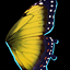Yellow Butterfly Wings