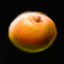 Moa's Orange