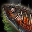 Dead Fish