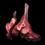 Lamb Meat