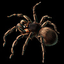 Roast Spider Leg
