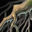 Strong Tree Root