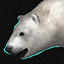 Mt. Eda Polar Bear
